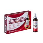 마그비스피드액